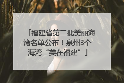 福建省第二批美丽海湾名单公布！泉州3个海湾“美在福建”