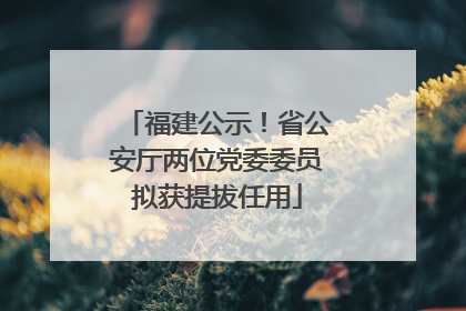 福建公示！省公安厅两位党委委员拟获提拔任用