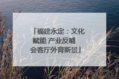 福建永定：文化赋能 产业反哺 会客厅外育新景
