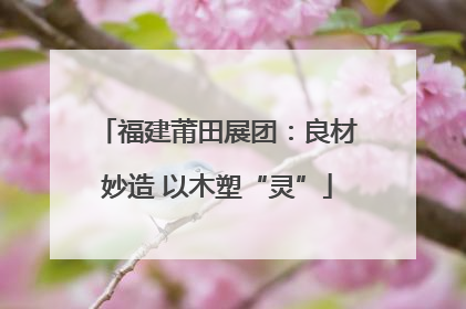 福建莆田展团：良材妙造 以木塑“灵”