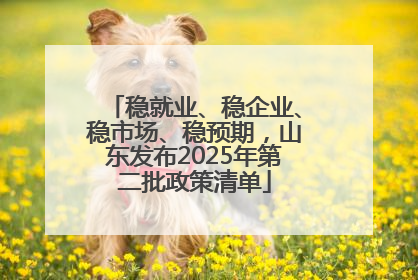 稳就业、稳企业、稳市场、稳预期，山东发布2025年第二批政策清单