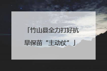 竹山县全力打好抗旱保苗“主动仗”