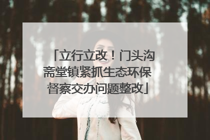 立行立改！门头沟斋堂镇紧抓生态环保督察交办问题整改