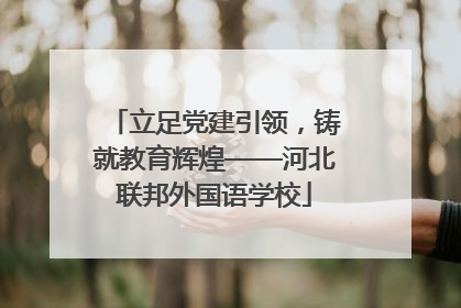 立足党建引领，铸就教育辉煌——河北联邦外国语学校