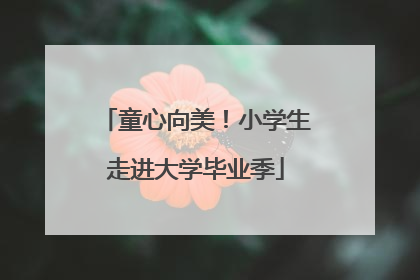 童心向美！小学生走进大学毕业季