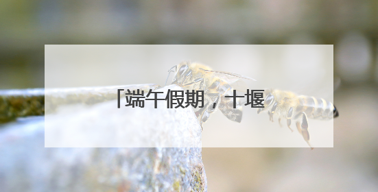端午假期，十堰文体场馆人气高