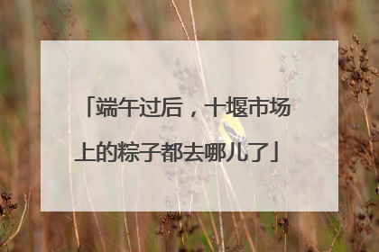 端午过后，十堰市场上的粽子都去哪儿了