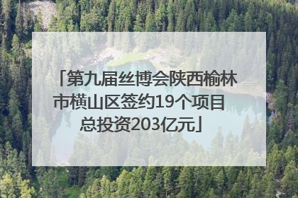 第九届丝博会陕西榆林市横山区签约19个项目 总投资203亿元