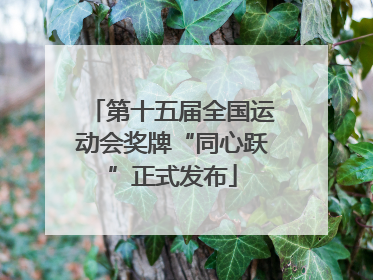 第十五届全国运动会奖牌“同心跃”正式发布
