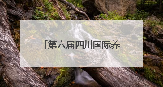 第六届四川国际养老服务业暨养老产业博览会开幕，脑机接口等黑科技亮相
