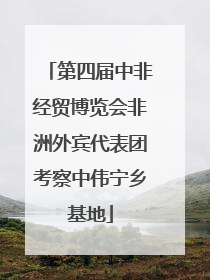 第四届中非经贸博览会非洲外宾代表团考察中伟宁乡基地