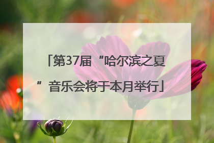 第37届“哈尔滨之夏”音乐会将于本月举行