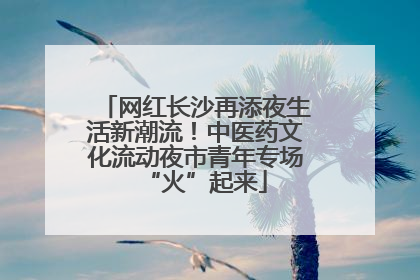 网红长沙再添夜生活新潮流！中医药文化流动夜市青年专场“火”起来