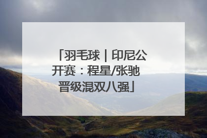 羽毛球｜印尼公开赛：程星/张驰晋级混双八强