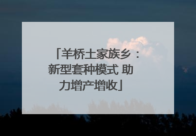 羊桥土家族乡：新型套种模式 助力增产增收