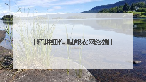 精耕细作 赋能农网终端