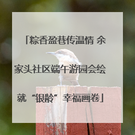粽香盈巷传温情 余家头社区端午游园会绘就“银龄”幸福画卷