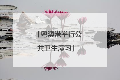 粤澳港举行公共卫生演习