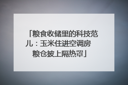 粮食收储里的科技范儿：玉米住进空调房 粮仓披上隔热罩
