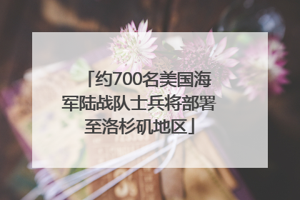 约700名美国海军陆战队士兵将部署至洛杉矶地区