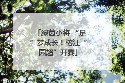 绿茵小将 “足”梦成长！榕江“园超”开赛