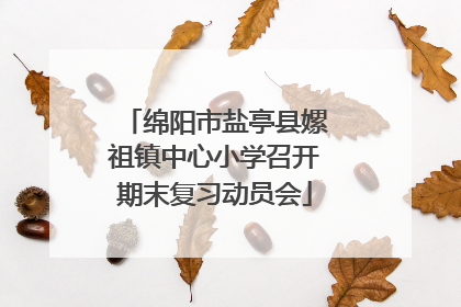 绵阳市盐亭县嫘祖镇中心小学召开期末复习动员会