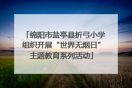 绵阳市盐亭县折弓小学组织开展“世界无烟日”主题教育系列活动