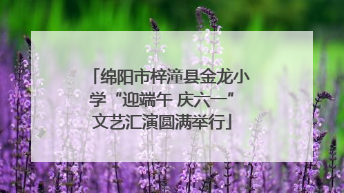 绵阳市梓潼县金龙小学“迎端午 庆六一”文艺汇演圆满举行