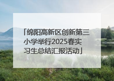 绵阳高新区创新第三小学举行2025春实习生总结汇报活动
