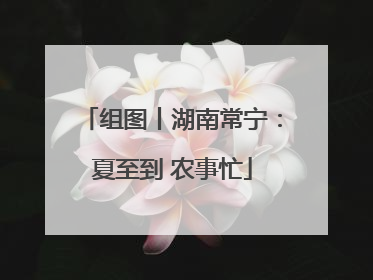 组图丨湖南常宁：夏至到 农事忙