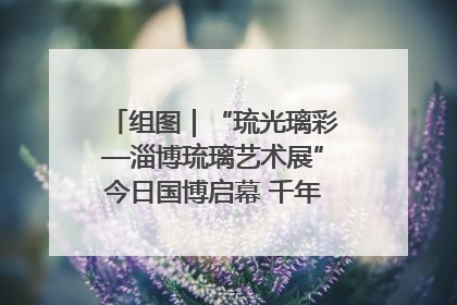 组图｜“琉光璃彩—淄博琉璃艺术展”今日国博启幕 千年窑火绽放京城