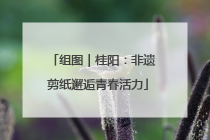 组图｜桂阳：非遗剪纸邂逅青春活力