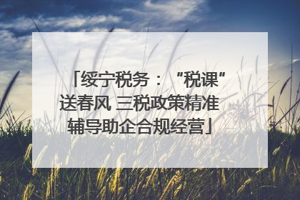 绥宁税务：“税课”送春风 三税政策精准辅导助企合规经营