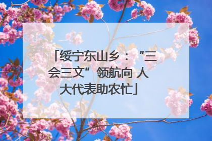 绥宁东山乡：“三会三文”领航向 人大代表助农忙