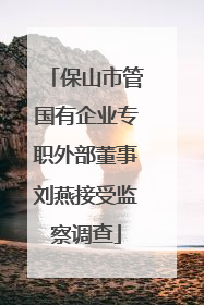 保山市管国有企业专职外部董事刘燕接受监察调查