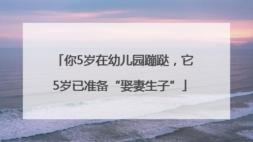 你5岁在幼儿园蹦跶，它5岁已准备“娶妻生子”