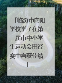 临汾市向阳学校学子在第二届市中小学生运动会田径赛中喜获佳绩