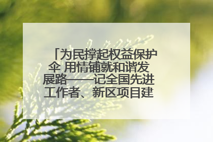 为民撑起权益保护伞 用情铺就和谐发展路——记全国先进工作者、新区项目建设中心干部卢小勇