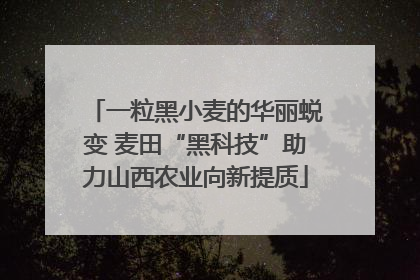 一粒黑小麦的华丽蜕变 麦田“黑科技”助力山西农业向新提质