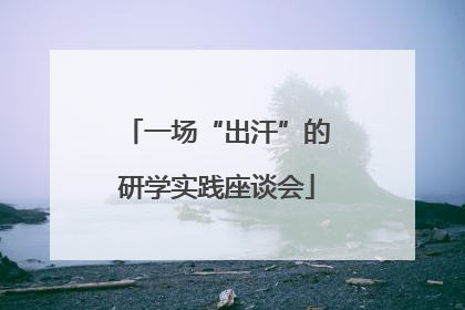 一场“出汗”的研学实践座谈会