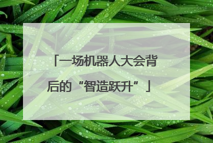 一场机器人大会背后的“智造跃升”