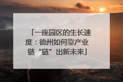 一座园区的生长速度：德州如何靠产业链“链”出新未来