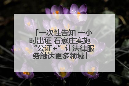 一次性告知 一小时出证 石家庄实施“公证+”让法律服务触达更多领域