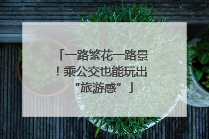 一路繁花一路景！乘公交也能玩出“旅游感”