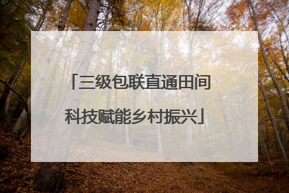 三级包联直通田间 科技赋能乡村振兴
