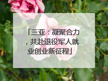 三亚：凝聚合力，共赴退役军人就业创业新征程