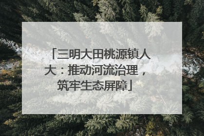 三明大田桃源镇人大：推动河流治理，筑牢生态屏障