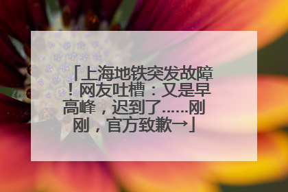 上海地铁突发故障！网友吐槽：又是早高峰，迟到了……刚刚，官方致歉→