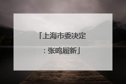 上海市委决定：张鸣履新