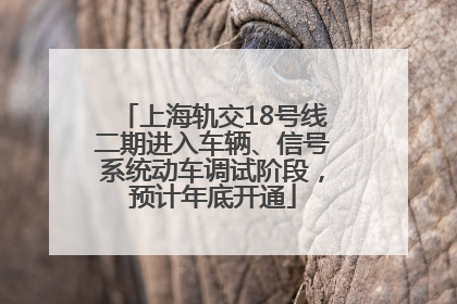 上海轨交18号线二期进入车辆、信号系统动车调试阶段，预计年底开通